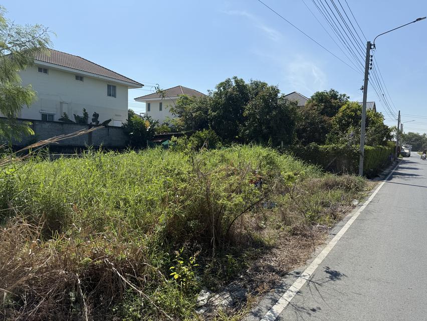 ที่ดินถมแล้ว ไทรน้อย 7