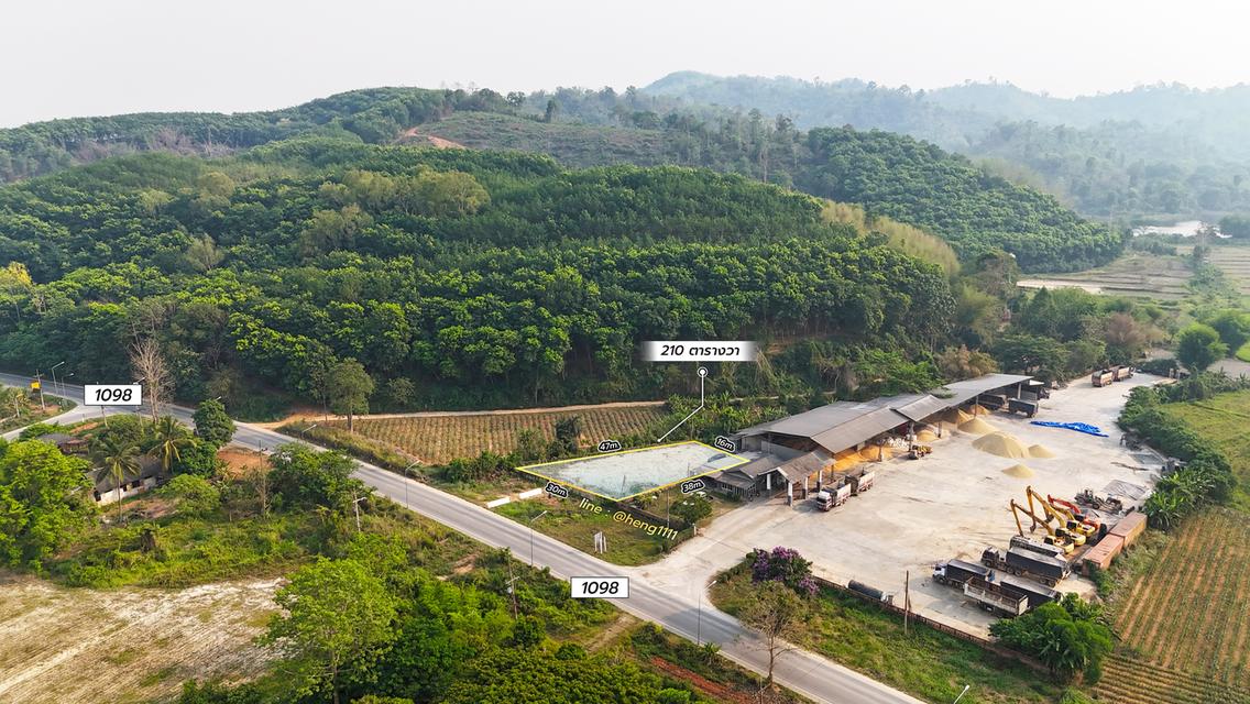ขายด่วน ที่ดินติดทางหลวง 1098 ท่าข้าวเปลือก แม่จัน เชียงราย 210 ตร.ว. รูปทรงถุงเงินถุงทอง 3