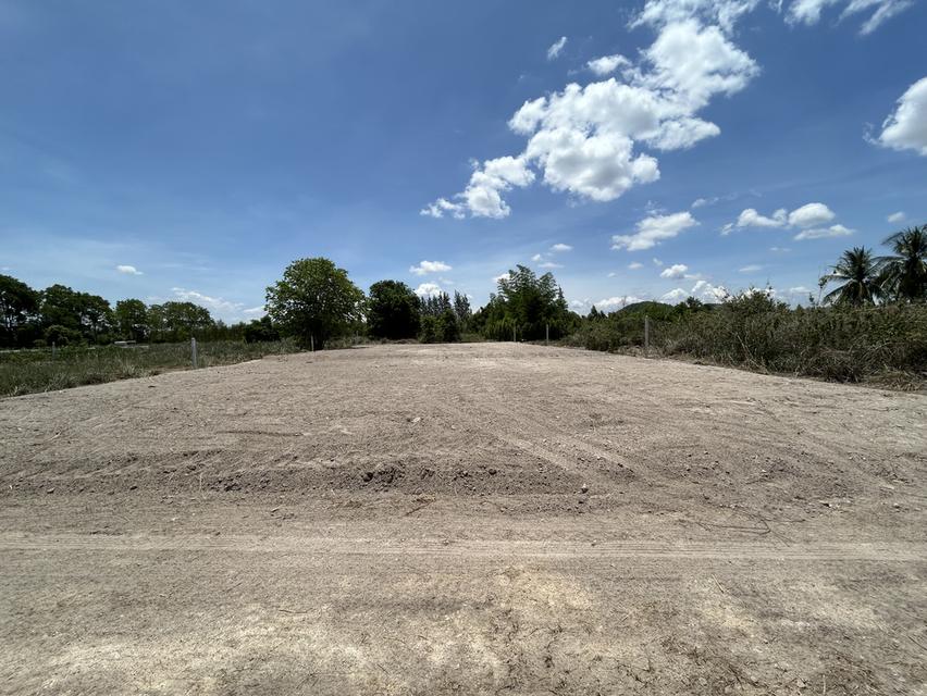 ที่ดินเปล่าถมที่แล้วเหมาะกับปลูกอาศัย 2