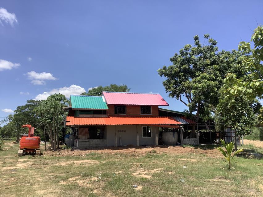 ขายที่สวนโคกหนองนา และบ้านสวน(เจ้าของขายเอง)ร้อนเงิน 1