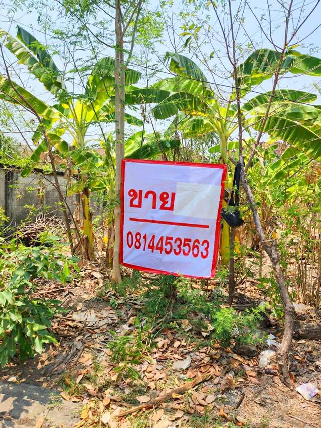 ขายที่ดิน ถ.หทัยราษฎร์ ซ.สายไหม85 ม.สายไหมริมชล1 เนื้อที่122.5ตรว 4