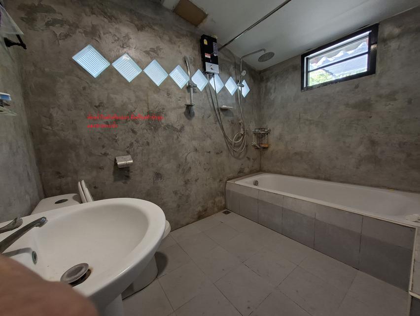 ขายที่ดิน 2 ไร่ 154 ตารางวา 1,000,000 บาท มีห้องพัก 2 ห้อง มีน้ำและไฟฟ้าพร้อมเข้าอยู่ ใกล้วัดสามประชุม อ.โพธิ์ทอง จ.อ่างทอง 7