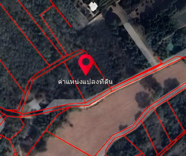 ที่ดิน จังหวัดพิษณุโลก 3