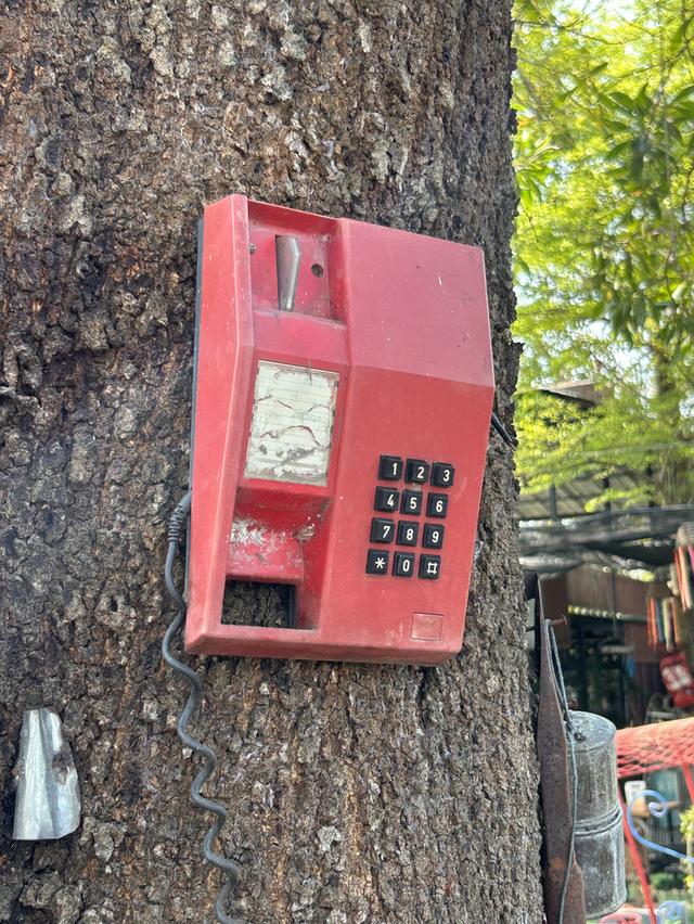 ขายของเเต่งร้าน  วินเทจ  มือสอง  รีบขายด่วน  คืน พื้นที่ให้เจ้าของ  รับเอง 18