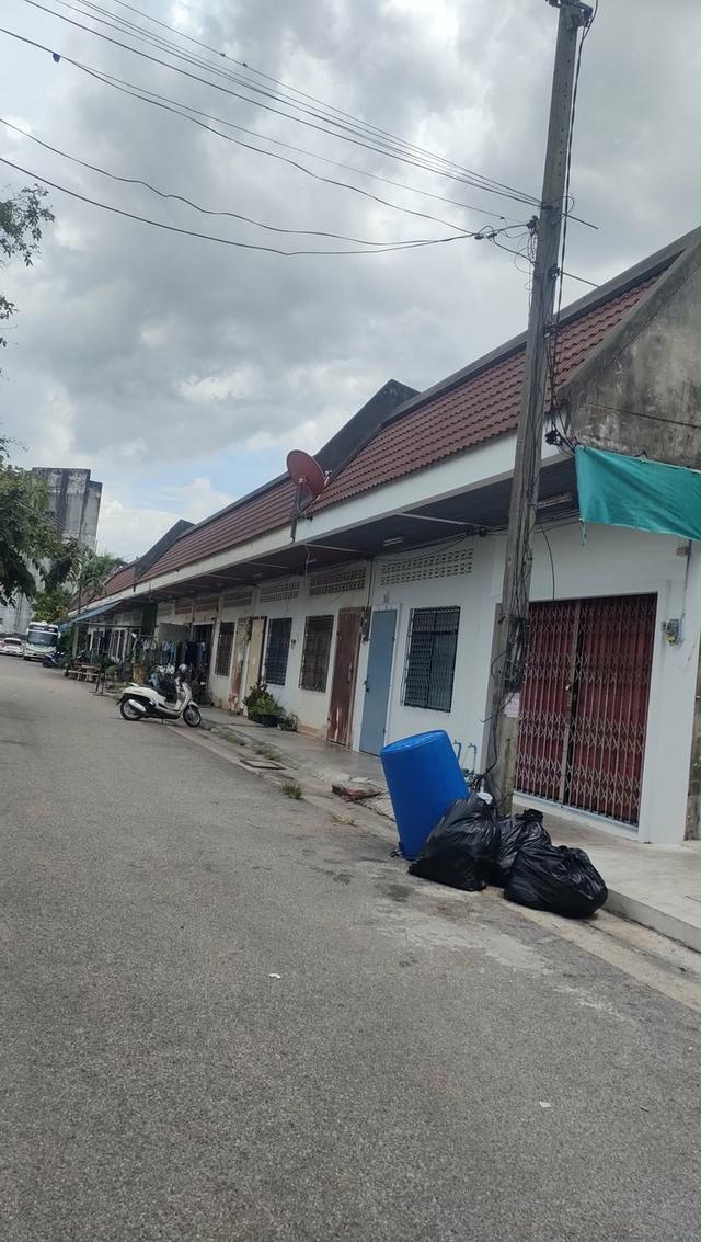 ขายที่ดินหาดใหญ่ใจกลางเมือง 2