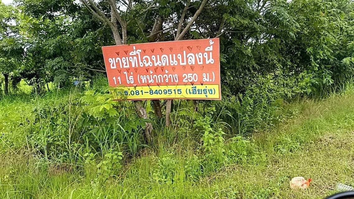 อยากขาย ทีดิน ถนนเส้น โชคชัย-เดชอุดม ถนนเลข24 เขตอ.กันทรลักษณ์-ติตเขตเบญจลักษณ์ 11ไร่ ถนน4 เลน 2