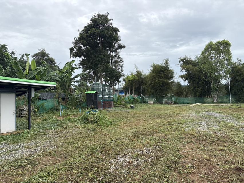 ที่ดินสถานที่ท่องเที่ยว ครุฑแดง หน้ากว้าง 67 ม ซีเมนต์ ระบบนำ้ - ไฟฟ้าเข้าถึง 15