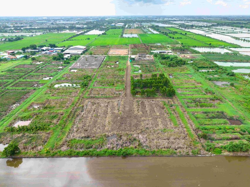 ขายที่ดิน ลาดกระบัง–สนามบินสุวรรณภูมิ เพียง 3,600,000 บาท / 1 ไร่ 6
