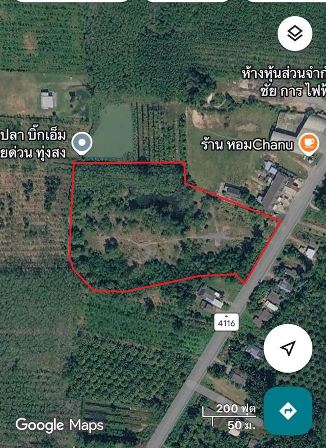 ขายที่ดินถมแล้ว 14-1-46.2 ไร่ ต.เขาโร อ.ทุ่งสง จ.นครศรีธรรมราช 1