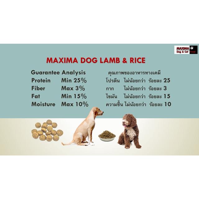MAXIMA DOG LAMB & RICE 4