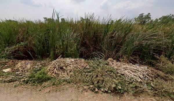 ขายด่วน! ที่ดินจัดสรรทำเลทอง 100 ตร.ว. หน้ากว้าง 18 เมตร x ลึก 20 เมตร คลอง 6 ธัญบุรี – ใกล้ มทร.ธัญบุรี 5