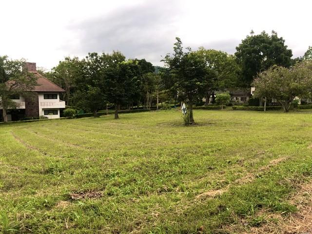 ขายที่ดิน 470 ตรว. แปลงมุม ในสนามกอล์ฟเซอร์เจมส์คันทรีคลับ Forest Hill มวกเหล็ก สระบุรี 6