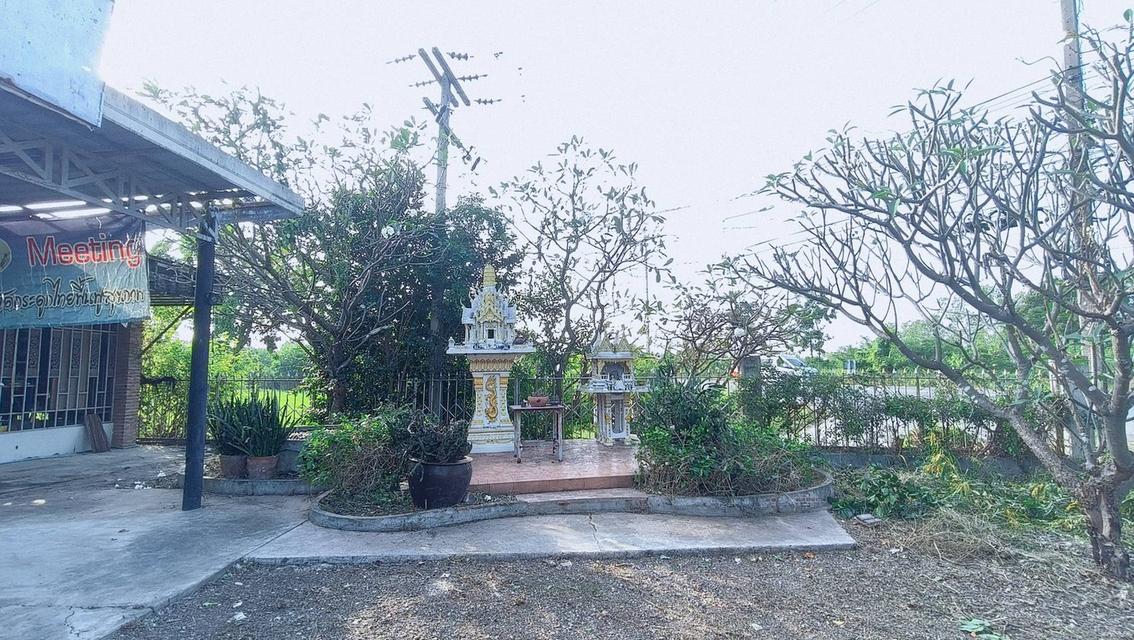 ขาย/ให้เช่า ที่ดินอ่างทอง เจ้าของขายเอง 17