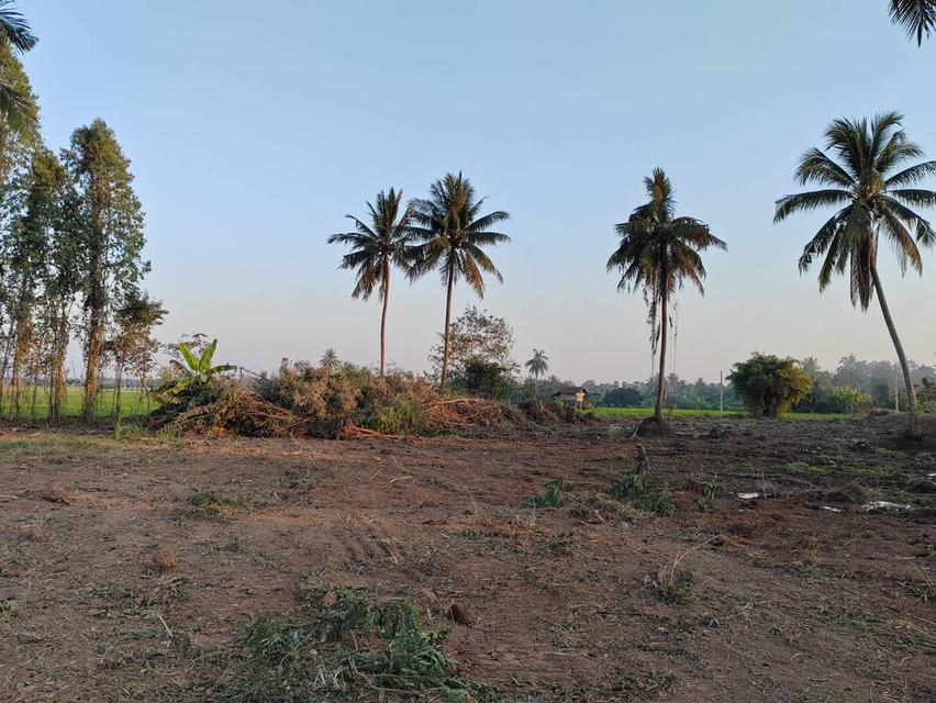 ขายที่ดินหน้ากว้าง รูปทรงชายธง ทำเลดีมาก – ต.ย่านยาว อ.เมือง จ.พิจิตร 6