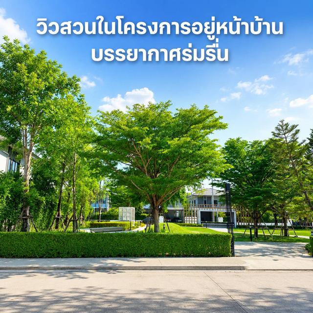 บ้านเดี่ยว หมู่บ้าน สัมมากร ชัยพฤกษ์ - วงแหวน 2 ( วิวหน้าสวน ) 345 บางบัวทอง นนทบุรี 2