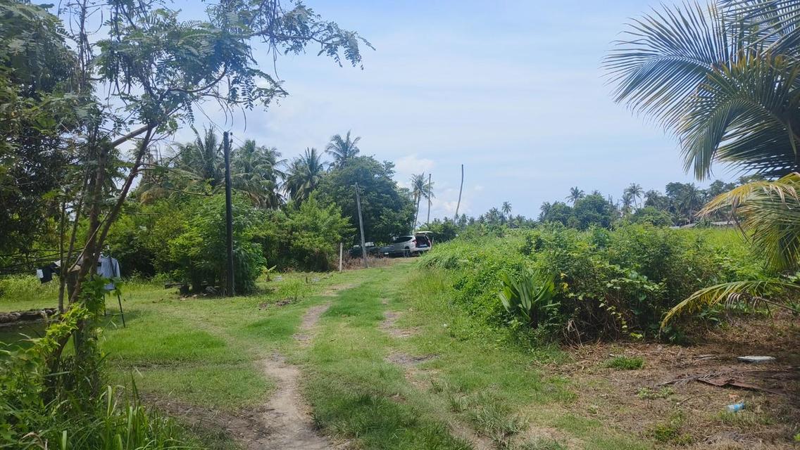 ขายด่วนที่ดินพื้นที่ท่องเที่ยวทางทะเล หาดแหลมสิงห์ 6