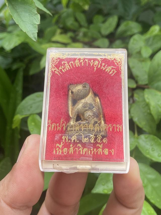 เสือเขี้ยวดาบ(พิมพ์ใหญ่)วัดปริวาสราชสงคราม ปี2551 รูปย่อยที่ 1