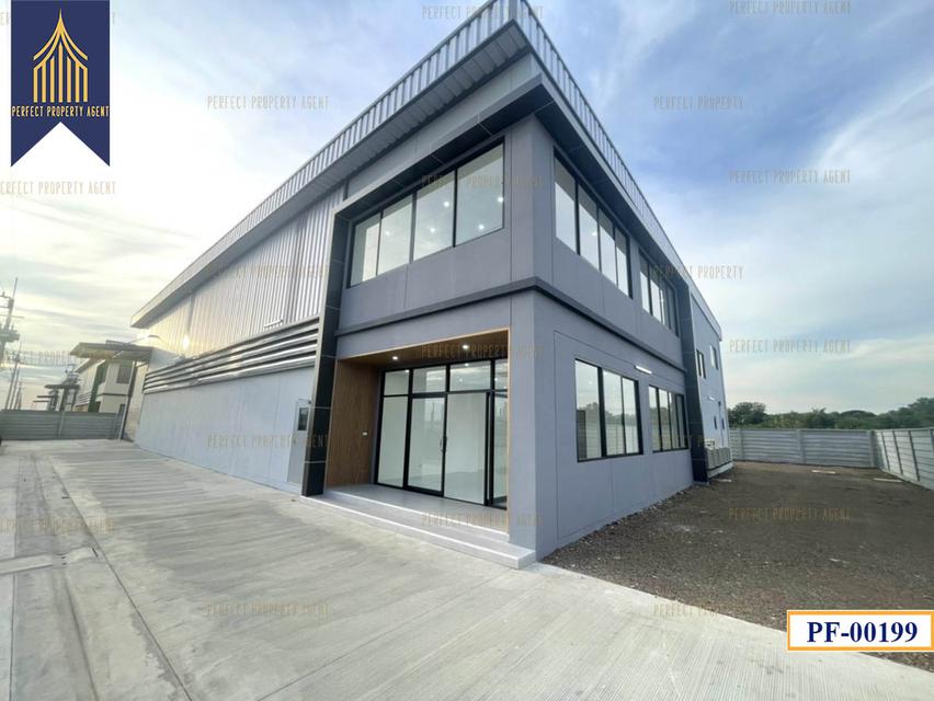 New Factory for sale สีม่วงเข้ม หลายขนาด ลำลูกกา ปทุมธานี 14