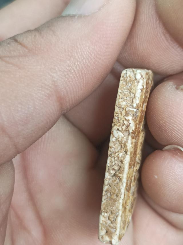 พระสมเด็จวัดระฆังพิมพ์ปรกโพธิ์ รูปที่ 3