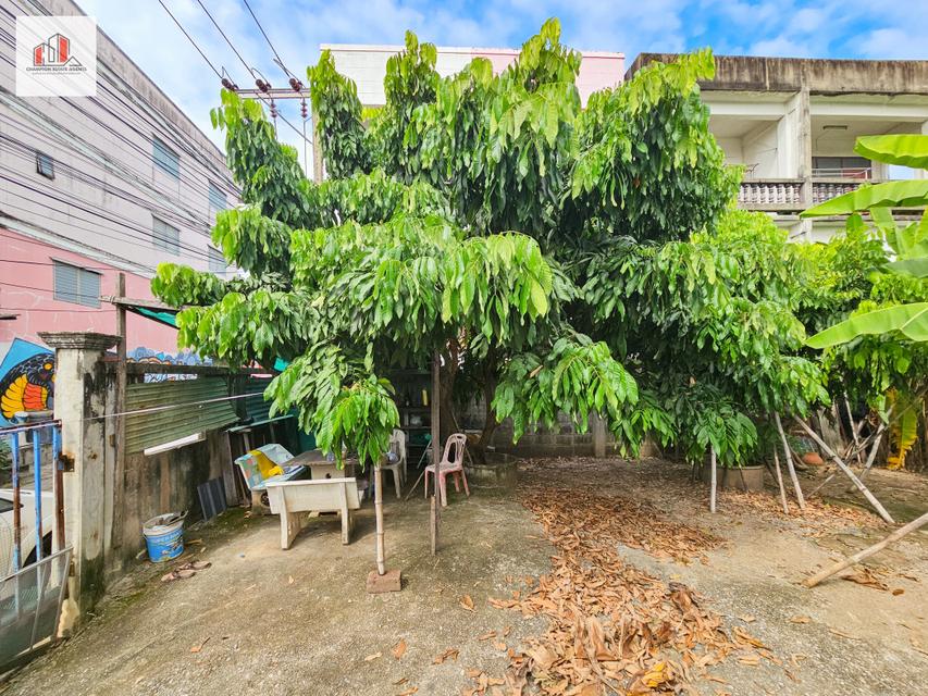 ขาย ที่ดิน ถมแล้ว-สูงกว่าถนน เข้าซอยเพียง 20 เมตร หมู่บ้านเศรษฐกิจ บางแค 82 ตรว 5