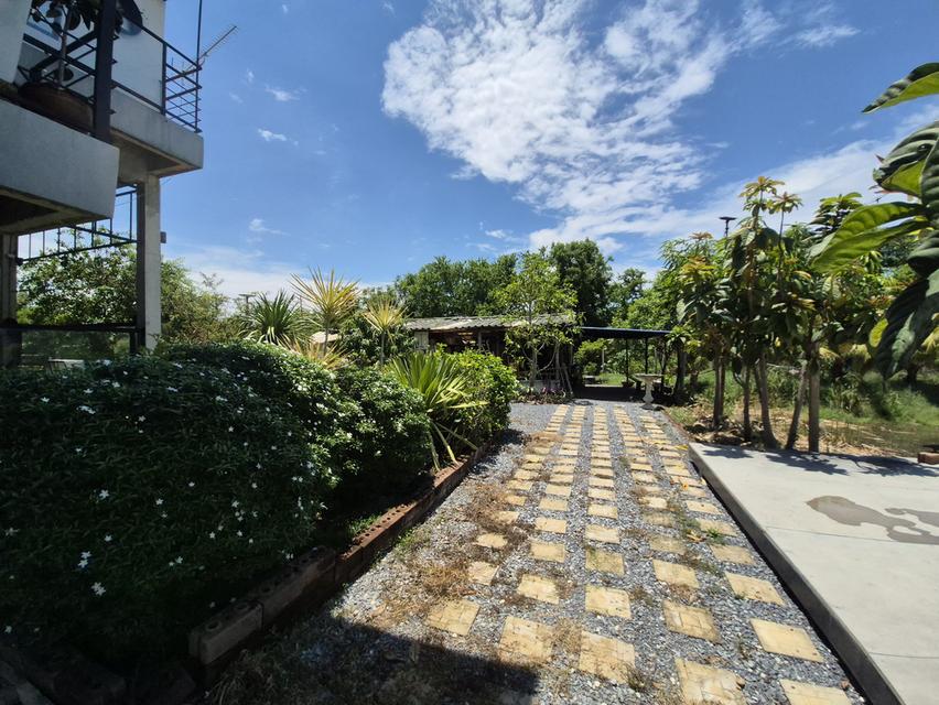บ้านพร้อมที่ดินทำสวนเกษตร 9