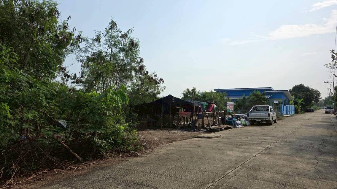 ขายด่วน ที่ดิน แปลงสวย ถมแล้ว เนื้อที่ 114 ตรว. ซ.ดงรักพัฒนาต.ทวีวัฒนา อ.ไทรน้อย จ.นนทบุรี 7
