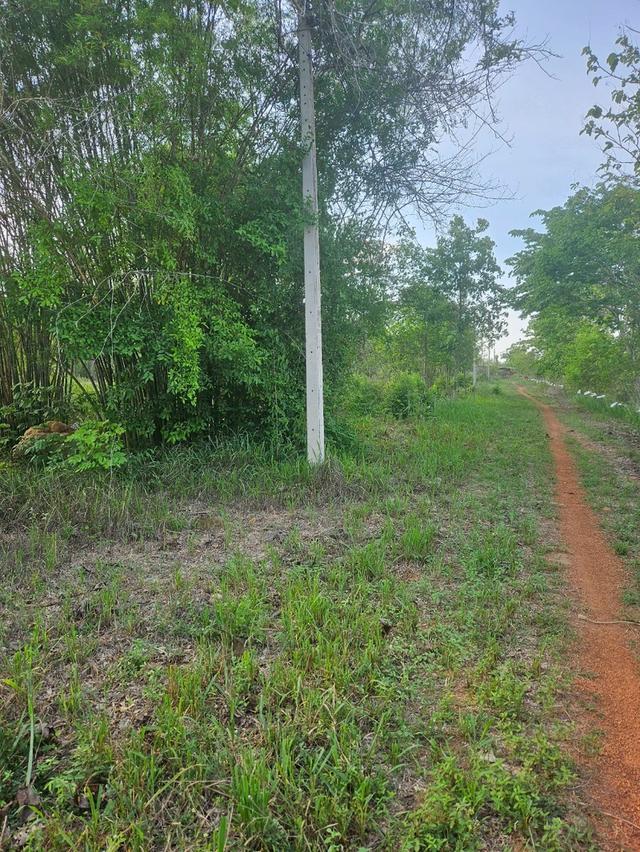 ขายบ้านพร้อมที่ดิน 10
