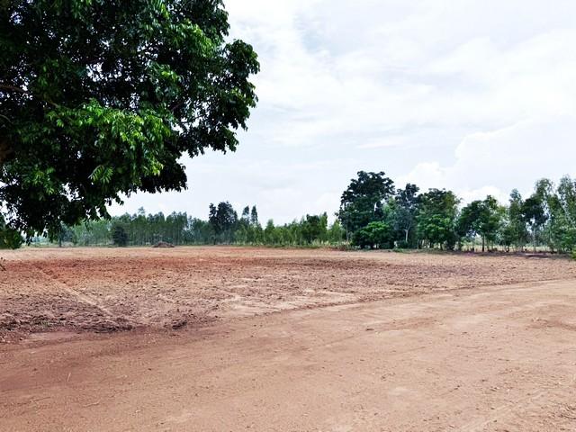 1 ขาย ที่ดิน ที่ดินใกล้ถ.ลาดยาง 2แสน฿ 200 ตรว. ใกล้ชุมชน หนองหญ้าไซ สุพรรณบุรี T.o86-3ol-6l6l 200000 บาท ใกล้กับ ถนนลาดย 3