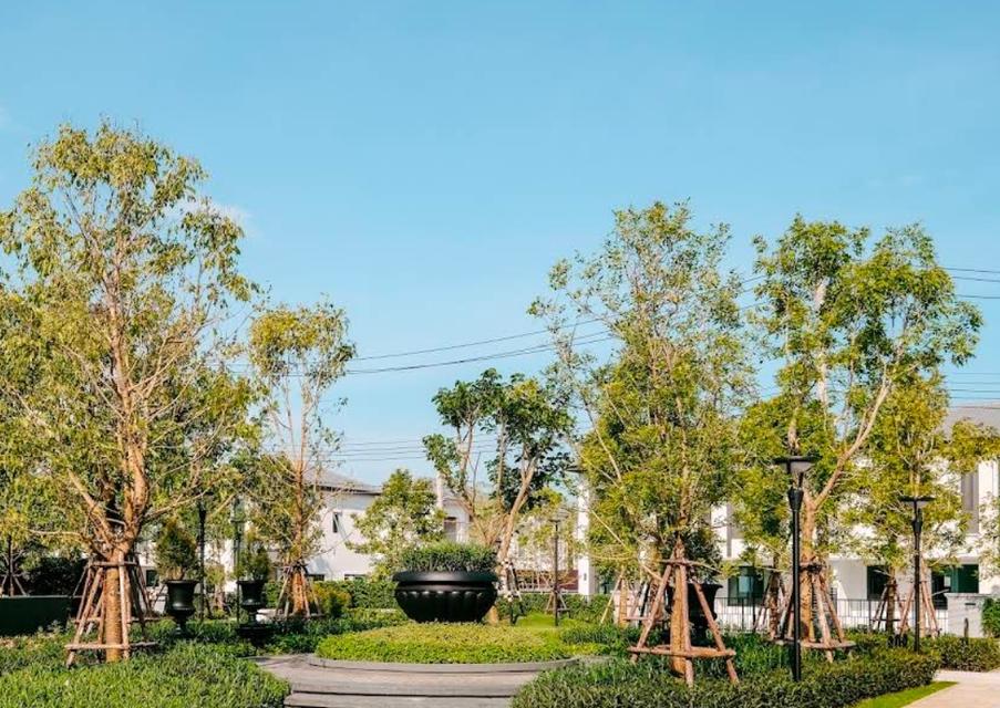 Luxury Family House for Rent แกรนด์ พลีโน่ สุขุมวิท-บางนา 10