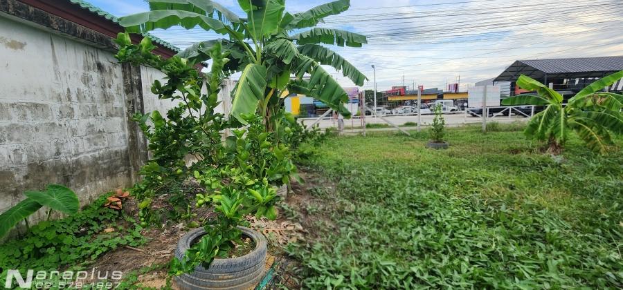 69080418 : ขายถูกที่ดินแปลงสวย เนื้อที่  226 ตร.ว. เข้าถนนสามวา 1 เพียง 100 เมตร มีนบุรี กรุงเทพฯ เหมาะสำหรับสร้างบ้าน , ทำอพาร์ทเม้นท์ หรือลงทุน 7