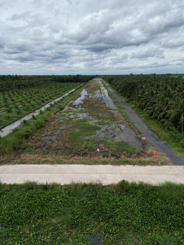 🌳 ขายที่ดินคลอง 8 ปทุมธานี ทำเลน่าสนใจ พื้นที่ครึ่งไร่ ราคาเพียง 680,000 บาท 18