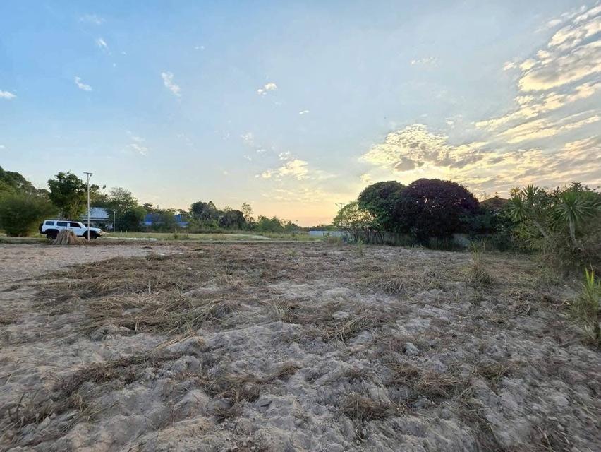 ขายที่ดินเปล่า แปลงสวยติดถนนสองด้าน บางเสร่ ชลบุรี 11