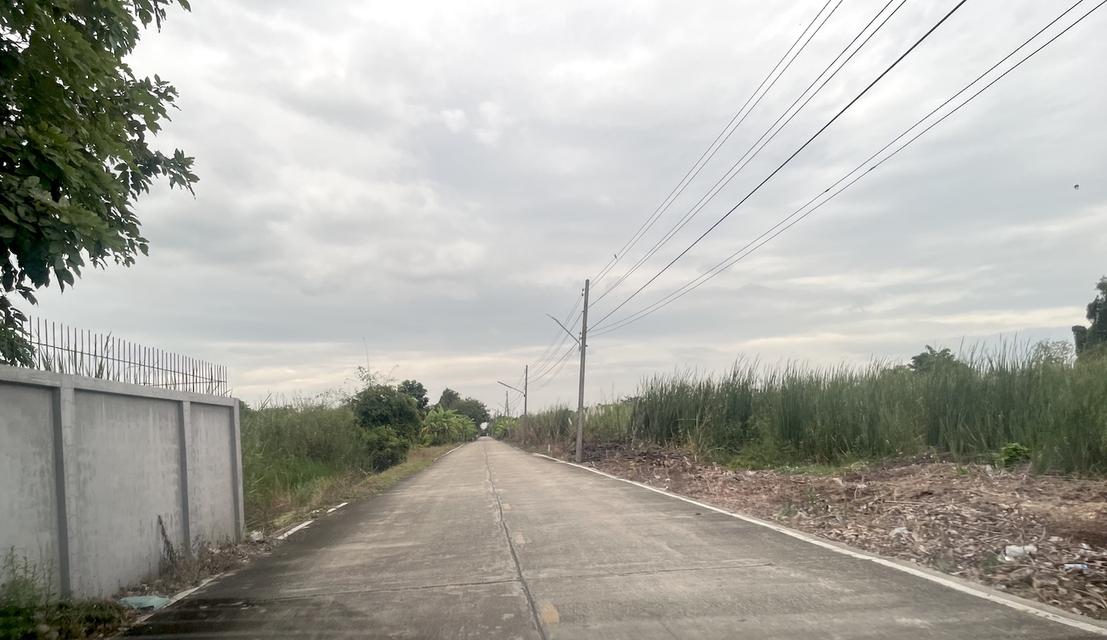 ขายที่ดิน 1 ไร่ คลอง 10 หนองเสือ ปทุมธานี 098 7755 808 9