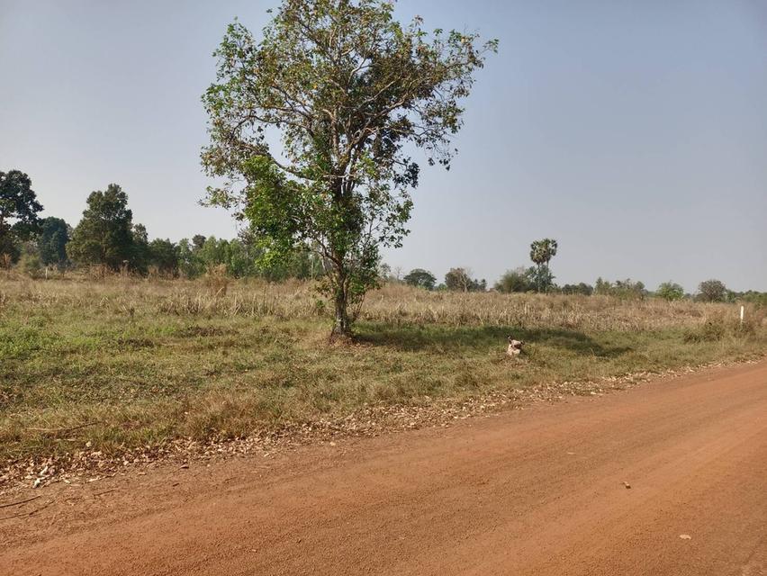 ขายที่ดินจังหวัดอุดรธานี หนองหาน บ้านดอนกลอย พิบูลย์รักษ์ 10