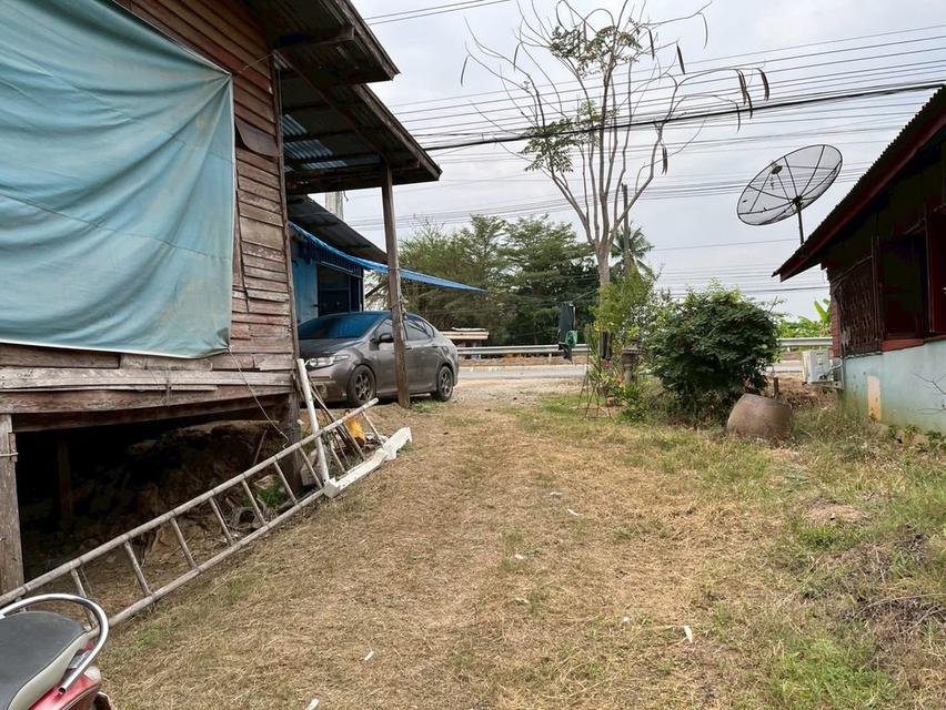 ขายที่ดินติดถนนเมืองสุโขทัยไม่มีน้ำท่วม 3