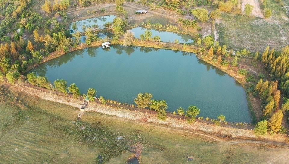 ขายที่ดินติดเขื่อนลำปาว กาฬสินธุ์ พื้นที่รวม 55 ไร่ เหมาะพัฒนารีสอร์ทหรือโครงการท่องเที่ยว 4