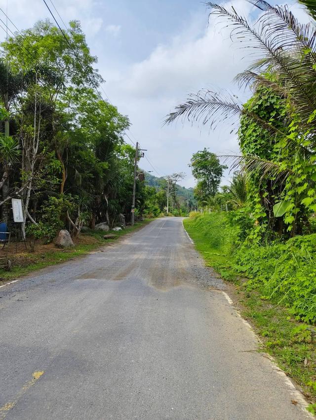 ที่ดินภูเก็ต โซนถลาง 1 ไร่ ควนตาแท่น บ้านเขาล้าน ติดธรรมชาติ ห่างจากถนนหลัก 4 กม. 5