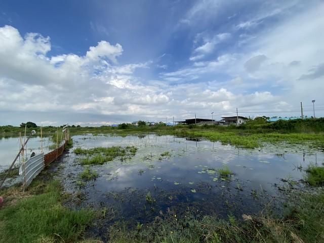 ขายที่ดินเปล่า ทำเลดี เจ้าของขายเอง ตำบลคลองด่าน อำเภอบางบ่อ สมุทรปราการ 14