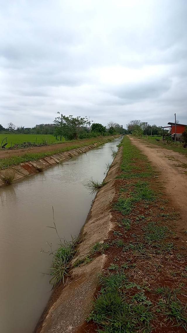 ที่นาติดคลองชลประทาน ติดเมืองเชียงราย 2