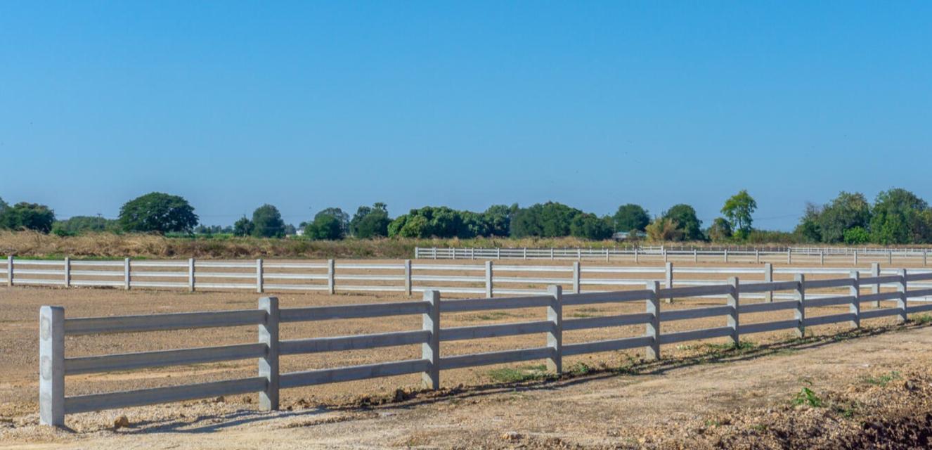 ขายที่ดินพร้อมปลูกสร้าง