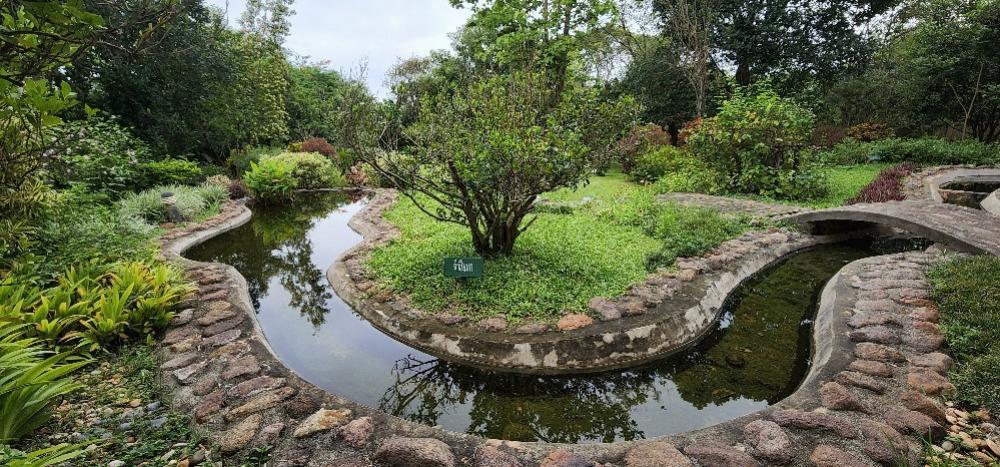 Villa khao yai for sale ขายบ้านพักตากอากาศเขาใหญ่ 3 ไร่ อยู่เส้นธนะรัชต์ ท่าช้างบ้านไร่ หมูสี บ้านสวยพร้อมสวนขนาดใหญ่ ใกล้อุทยานแห่งชาติเขาใหญ่ 15