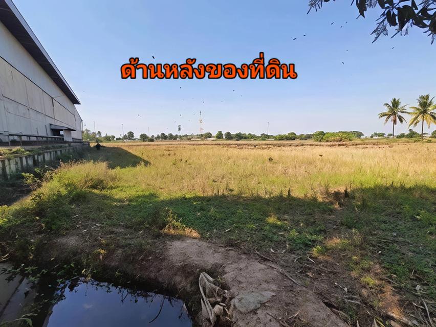 ที่ดิน ตำบล ท่างาม อำเภอ อินทร์บุรี จังหวัดสิงห์บุรี 3
