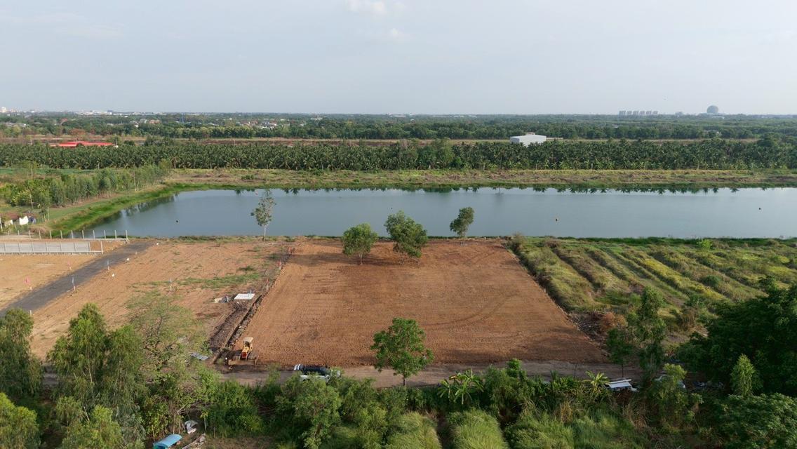 ขายที่ดิน 2 ไร่ คลอง 4 คลองหลวง ปทุมธานี ใกล้ถนนเลียบมอเตอร์เวย์ 3