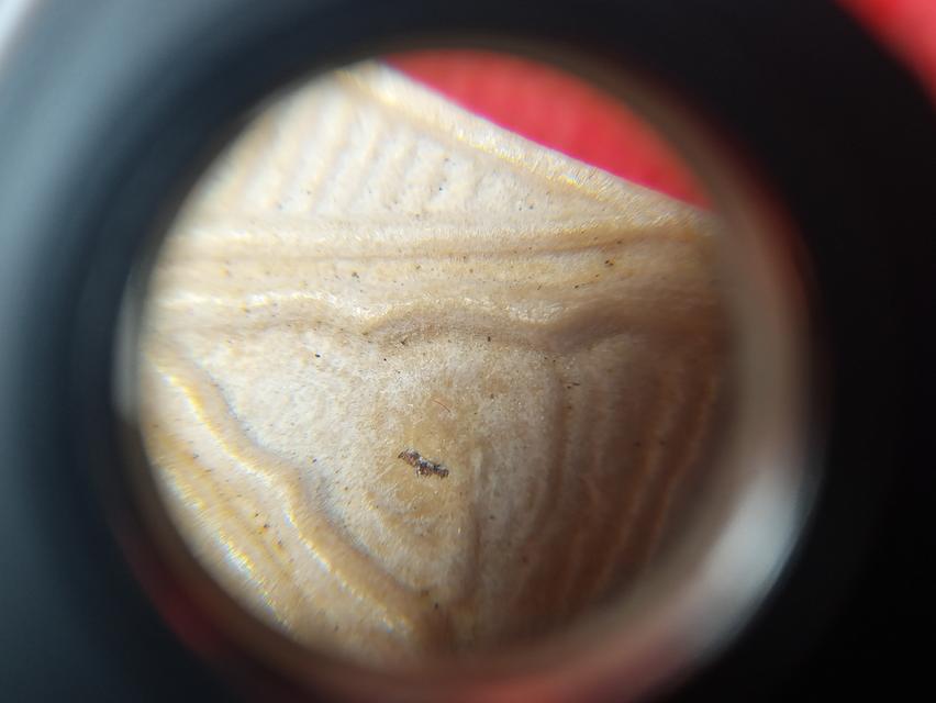 พระผงปากน้ำแบ่งปันคะ 5