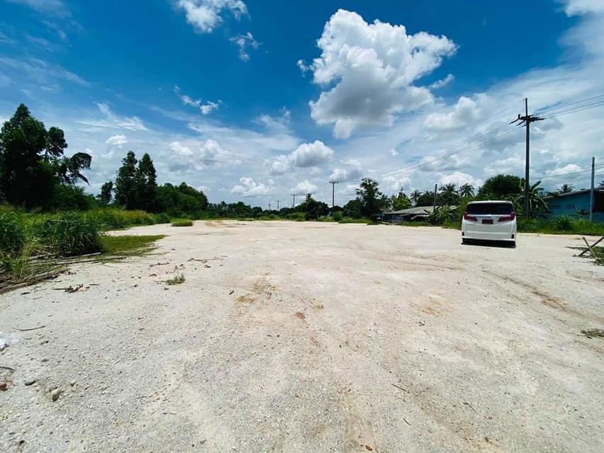 ขายที่ดินหนองอิรุณถมแล้ว 2 ไร่ ติดถนนลาดยางซอยวัดหนองเขิน ใกล้ถ.จารุวร349-800เมตร อ.บ้านบึง ชลบุรี 3