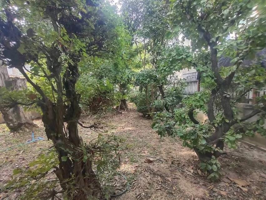 ขายบ้าน โครงการอรสิริน 3 เชียงใหม่ 1