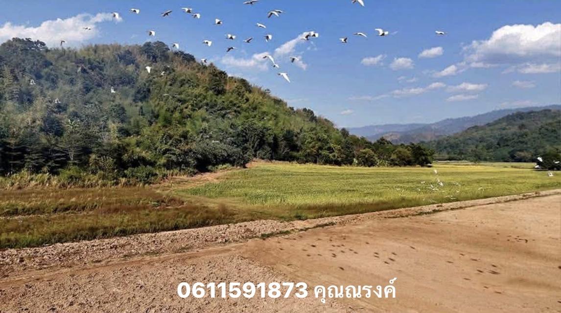 ที่ดินเจ้าของขายเองติดภูเขาล้อมลอบที่สวยโฉนดครุฑแดง 9