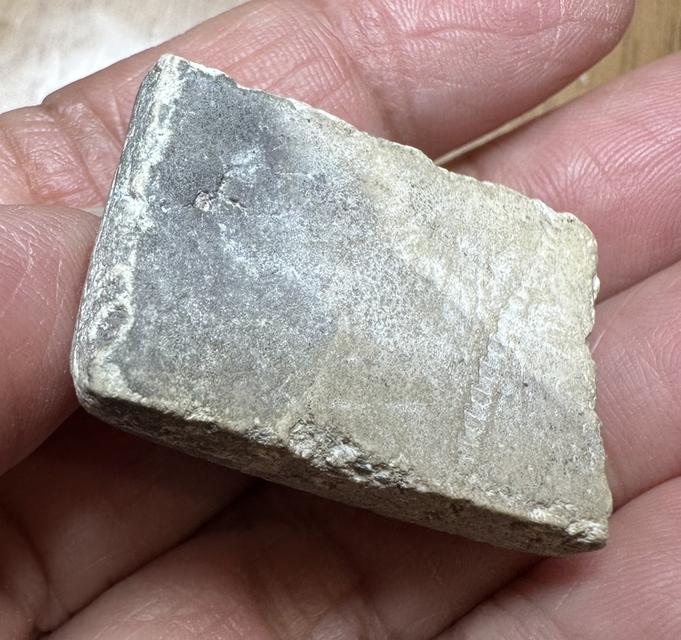 ท้าวเวสสุวรรณ พระอาจารย์ สุพจน์ วัดสุทัศน์ รูปที่ 5