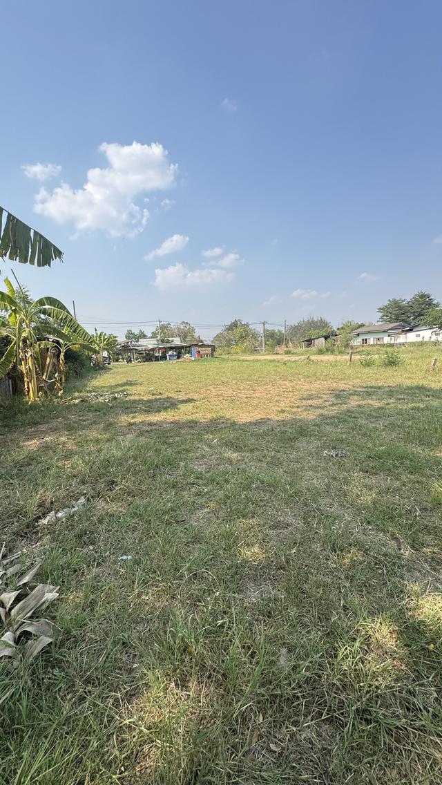 ที่ดินพร้อมเซ้งกิจการต่อได้เลย ร้านส้มตำไก่ย่าง ร้านเป็นที่นิยม หรือเหมาะสร้างห้องพัก ห้องเช่า ทำกิจการ 10