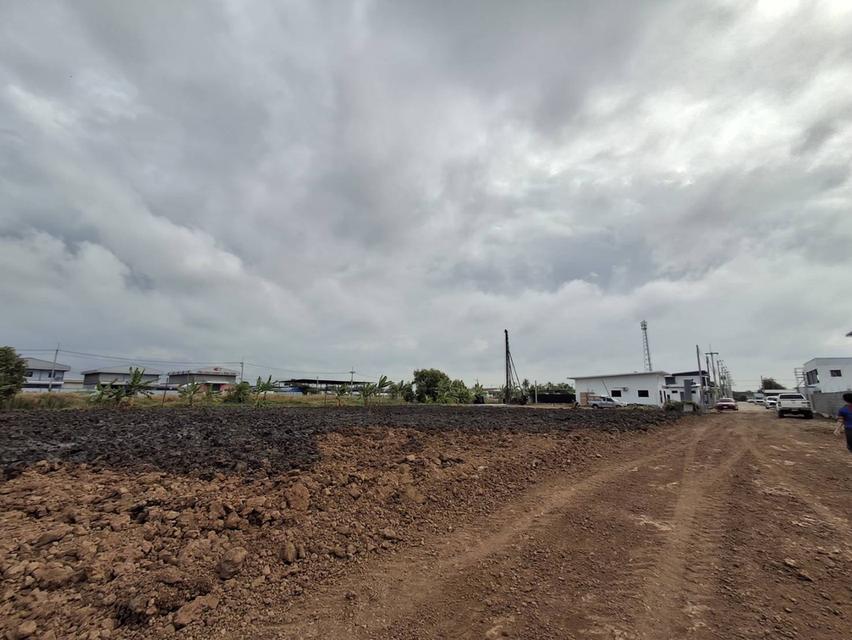 ขายที่ดินโกดังโรงงาน 2